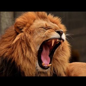 Meet your Posher, Earl